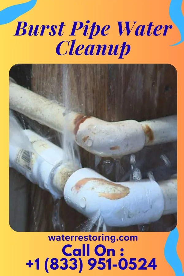 Burst Pipe Water Cleanup in Keeler Farm, NM